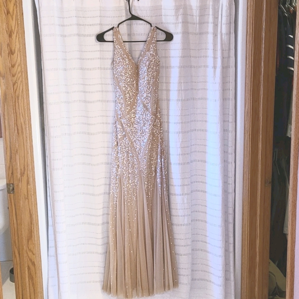 Adrianna Papell dress